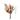 Bouquet of dried pampas grass, pine cones, and cotton on a white background