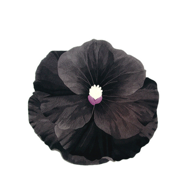 Black floral-shaped decorative pillow with textured petals and white-purple center, LaFloria home décor