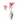 White ceramic vase with two pink anthurium flowers, elegant home décor accent
