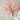Person holding a large bouquet of pink flowers against a plain background