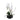 Orchidea