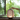 A hand is shown turning a switch on a traditional Chinese lantern-style table lamp with a bamboo pattern, set on a wooden windowsill with a green garden background.