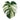 Monstera Rug