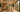 Bamboo & Rattan Furniture Pest Prevention in Tropical Climates