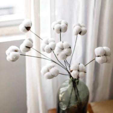 Cotton Flower