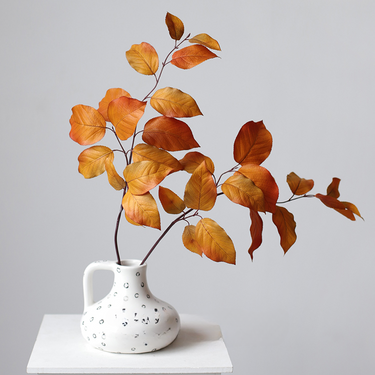 Salal