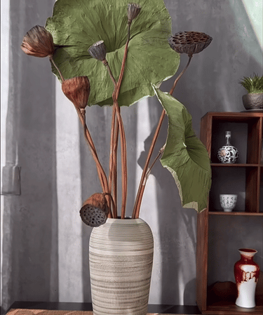 Lotus Leaf