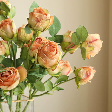 Rose Bud