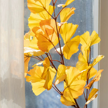 Ginkgo Leaf