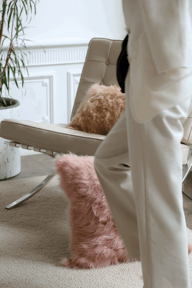 Fur Accent Cushion