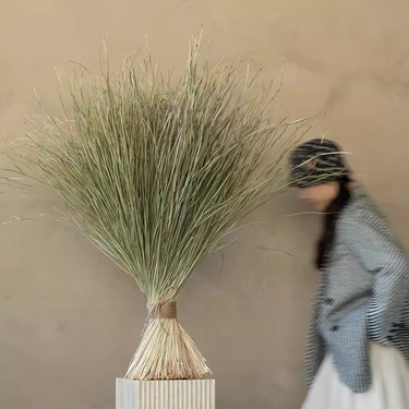 Herbe