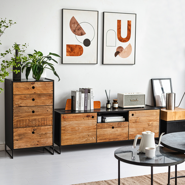 Franken TV Console Set