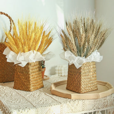 Dried Wheat