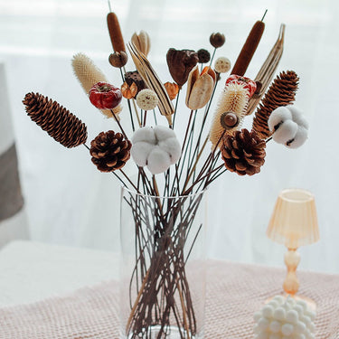 Pinecones/Acron
