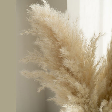 Natural Dried Reed