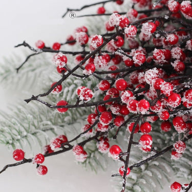 Snowy Mistletoe - 5 Branch