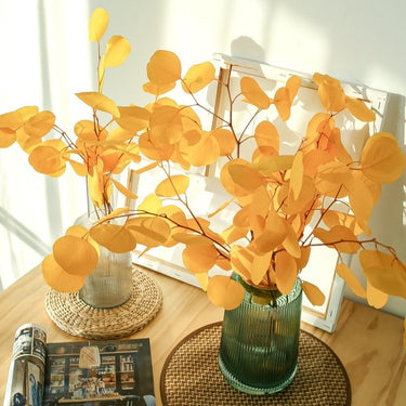 Dried Lunaria